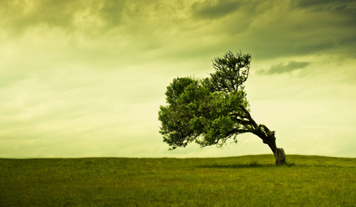 Featured Image